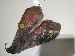-杨氏青龙虾·羊蝎子(金盛路总店)