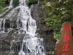 -中国大熊猫保护研究中心雅安碧峰峡基地