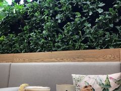 -Peet's Coffee皮爷咖啡(德基店)