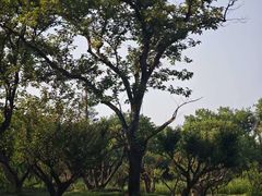 -烟水渔庄餐厅(西溪湿地店)