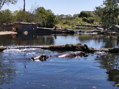 -威勒比开放式动物园