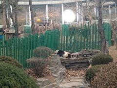 -大连森林动物园