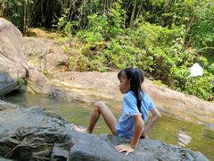 -广州白江湖森林公园