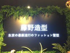 点击看大图 -藤野造型