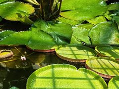 -国家植物园南园