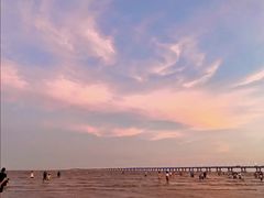 -南汇嘴观海公园