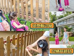 -王借岗森林公园