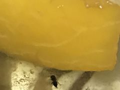 黄桃千层盒子-壹心榴莲千层蛋糕甜品店