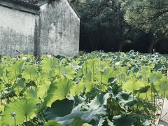 -兰亭风景区