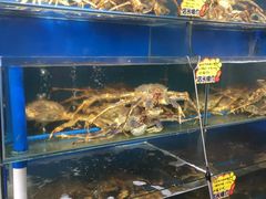 -蚝专家(北滘店)
