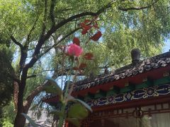 -淄博聊斋城景区