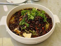 -成都驻京办餐厅(蜀都宾馆店)