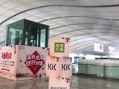 -奈雪的茶(深圳北站店)