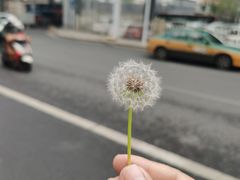 -星巴克(北京三里屯SOHO一店)