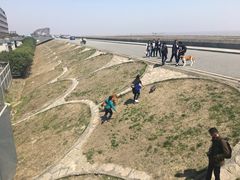 -南汇嘴观海公园