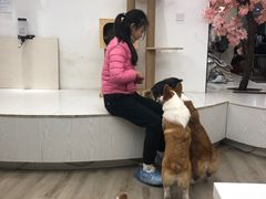 -浣熊柯尔鸭土拨鼠·电玩咖