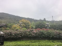 -白帝城·瞿塘峡景区