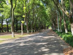 -上海鲜花港