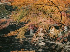 -虎跑公园