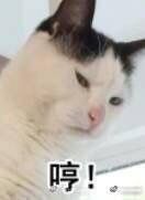 -1点点(苏州中心店)