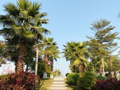 -五通灯塔公园