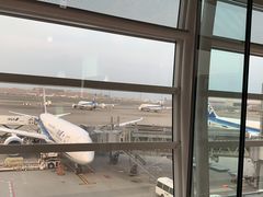 -上海浦东国际机场-T2航站楼