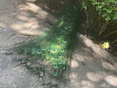 -燕塞湖鸟语林景区