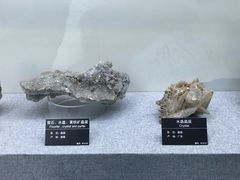 -甘肃地质博物馆