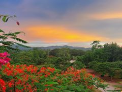 -中国科学院西双版纳热带植物园