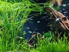 -上海海洋水族馆