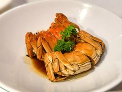 -月湖萃·上海菜(思南公馆淮海店)