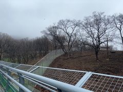 -合肥野生动物园