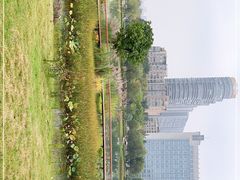 -桂溪生态公园