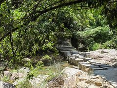 -广州白江湖森林公园