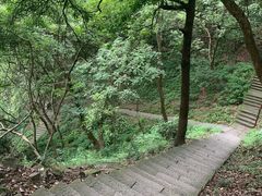 -严子陵钓台(富春江小三峡)