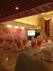 点击看大图 -生命加•Q考拉月子会所(玫瑰园店)