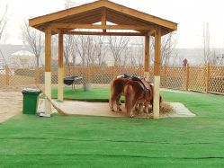 -萌宠亲子动物乐园(槐房万达店)