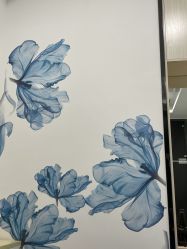 -DEM缔怡美科技美容