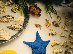 -芭菲盛宴·环球美食(解放碑英利国际店)
