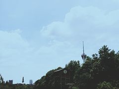 -成都市活水公园