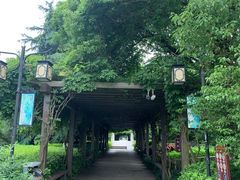 -白马涧龙池景区