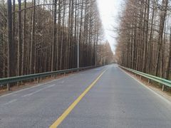 -碧海金沙