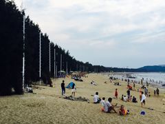 -马銮湾景区