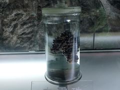 -青岛葡萄酒博物馆