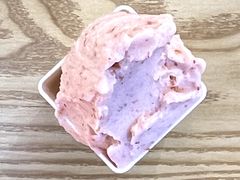 山楂冰淇淋-野人先生Gelato(上海长宁龙之梦店)
