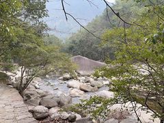 -大鄣山卧龙谷景区