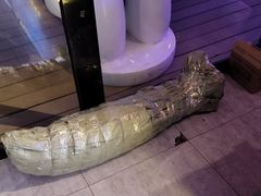 -移动谜城·大笨象密室逃脱(五棵松店)