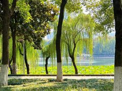 -后襄河公园