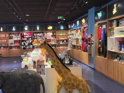 -飞览天下沉浸式飞行体验(北京旗舰店)