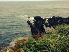 龙头岩-龙头岩(Dragon Head Rock)